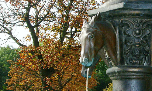 Herbst in Bochum